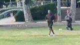 ضاربی که با چاقو به کودکان در انسی حمله کرد