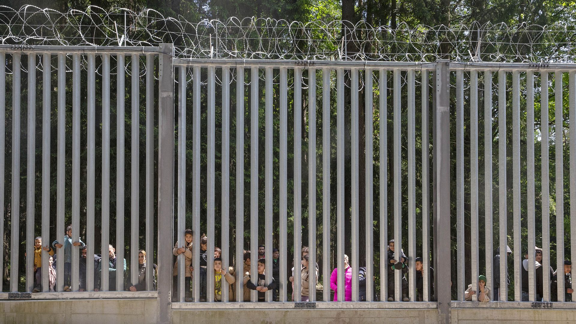 Video Poland Erects Wall On Belarusian Border To Stop Uncontrolled