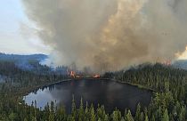 Forêt qui brûle au Canada, dans l'Ontario, le 4 juin 2023