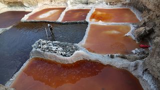 Niger : les mineurs de sel en quête d'un avenir meilleur
