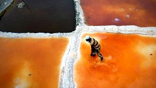 Sahara salt-miners search for a better future in Niger