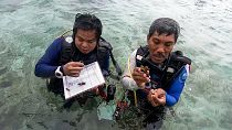 Scientist and lecturer Syafyudin Yusuf, 54, shows coral, with a local resident, in the waters of Badi Island.
