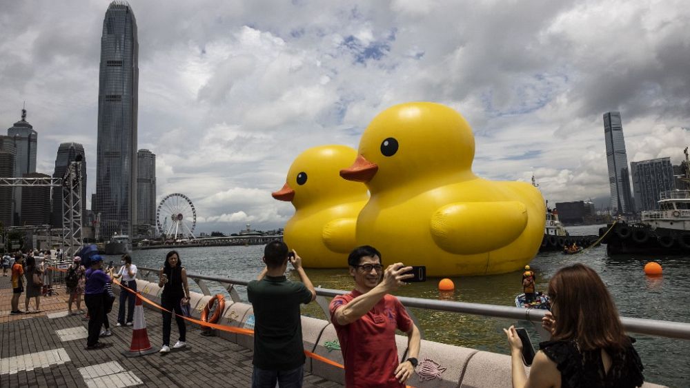 giant duck attack