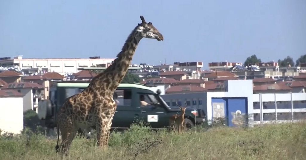 Kenya: Nairobi’s national park faces climate and human threats