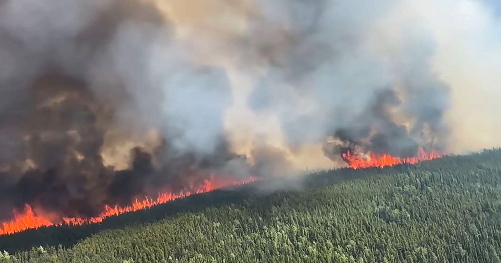 South Africa firefighters in Canada to fight wildfires