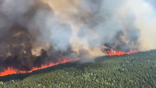 South Africa firefighters in Canada to fight wildfires