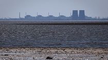 The Zaporizhzhia nuclear power plant is seen in the background of the shallow Kakhovka Reservoir.