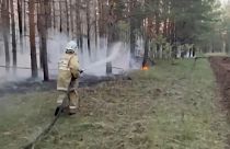 رجال الإطفاء يقاومون حرائق الغابات