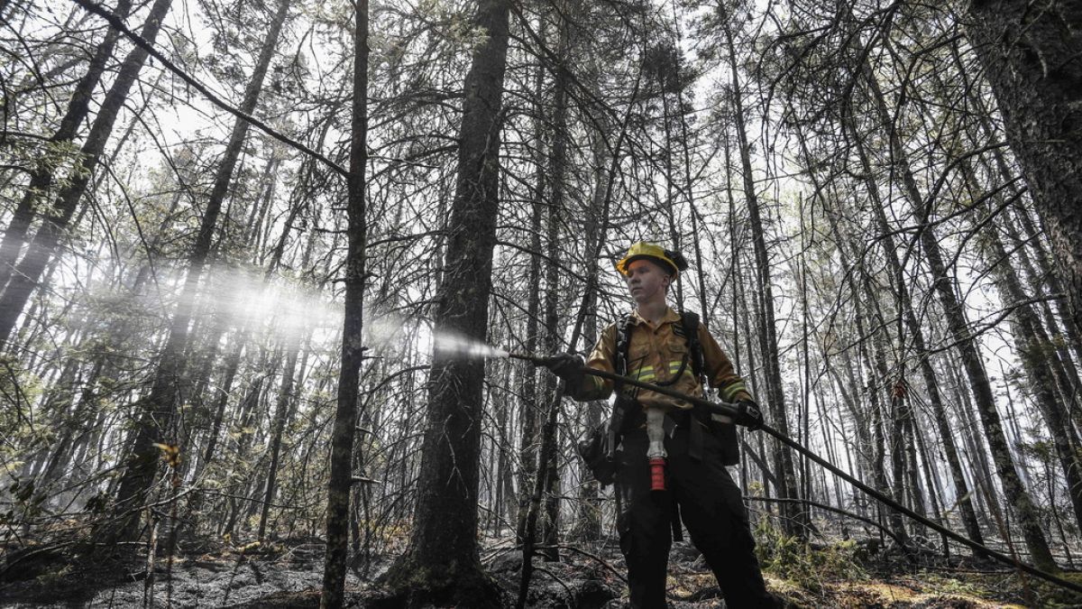 Un pompier arrose des foyers dans une forêt, près de Shelburne, Canada, le 1er juin 2023 