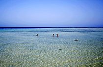 Marsa Alam  -  a popular resort for scuba diving (Archive picture)