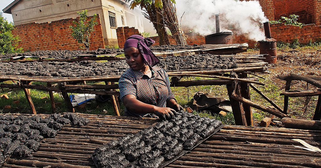 Uganda: Ban on charcoal-making disrupts lucrative but destructive business