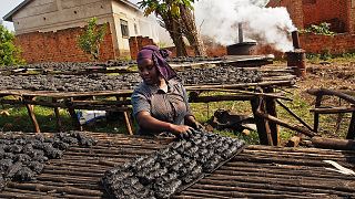 Ouganda : l'interdiction du charbon de bois fait des mécontents