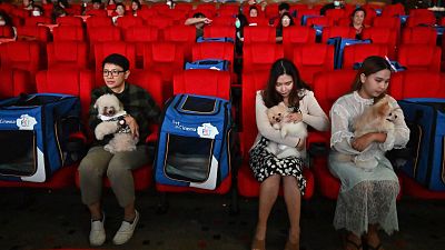 Pet dogs and their owners sit inside the pet-friendly i-Tail Pet Cinema in Samut Prakan on June 10, 2023.