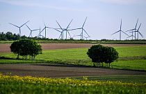 Almanya'nın batısındaki Lichtenau'da rüzgar türbinleri