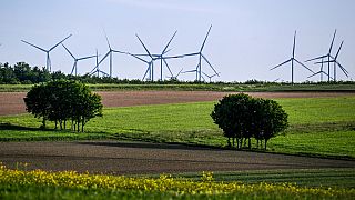 Almanya'nın batısındaki Lichtenau'da rüzgar türbinleri