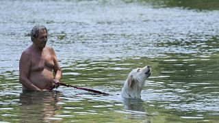 رجل وكلبه يستريحان في نهر أدا ، في كورنات دادا ، شمال إيطاليا. 2022/07/13