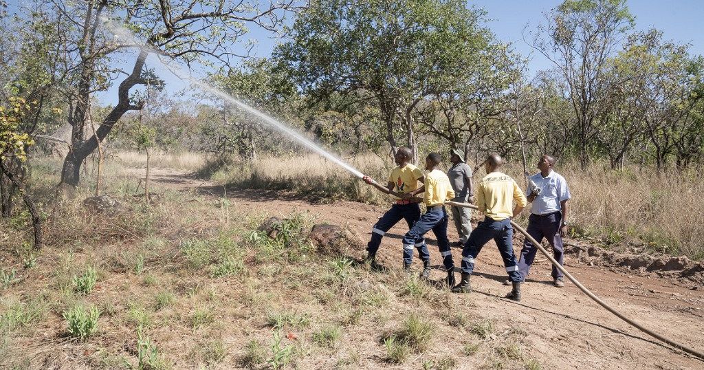 SA: Second batch of firefighters headed to Canada to combat wildfires - Vimarsana News