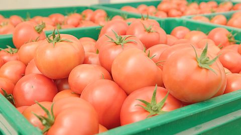 How changing your dinner menu will help save the planet