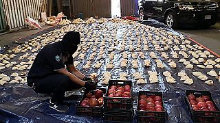 A Saudi customs officer opens imported pomegranates, as customs foiled an attempt to smuggle over 5 million Captagon pills in 2021.