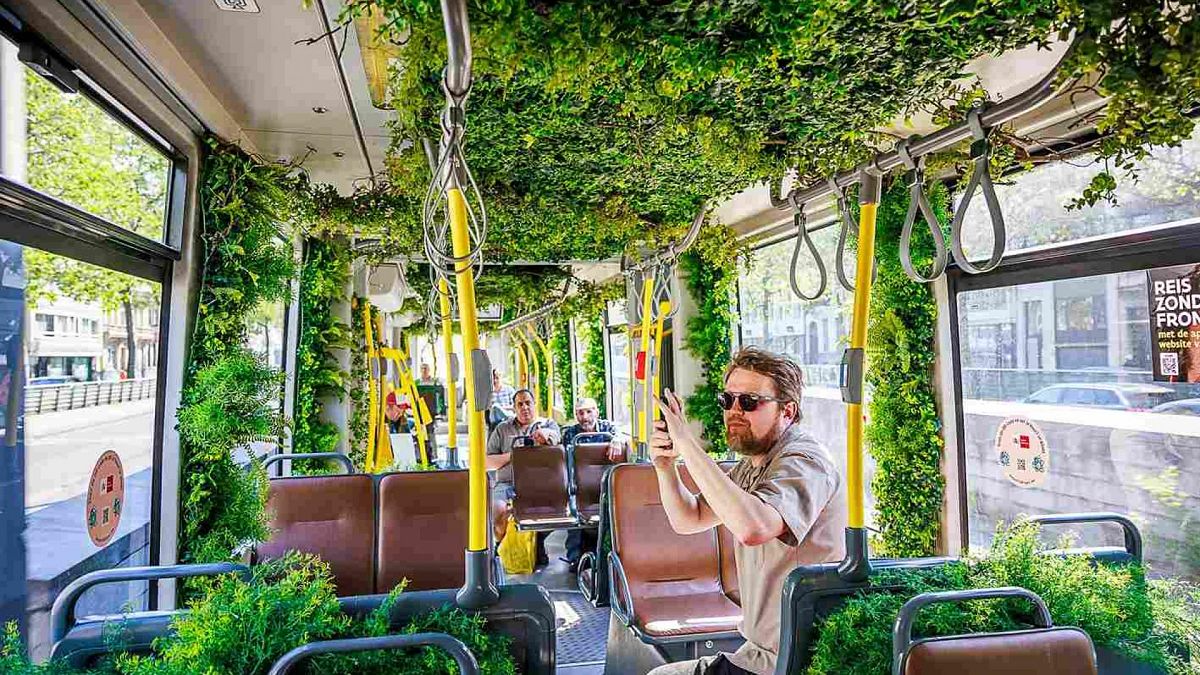 Free trees and green garlands: How Antwerp is encouraging residents to be urban gardeners thumbnail