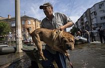 FILE - A man carries his dog after evacuation from a flooded neighborhood of the left bank Dnipro river, in Kherson, Ukraine, Friday, June 9, 2023.