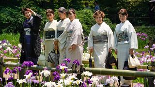 Japán nők a tokiói Meidzsi sinto szentély íriszkertjében 2023. június 13-án – képünk illusztráció