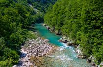 Каньон реки Тары в Черногории