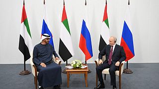 الرئيس الروسي ونظيره الإماراتي