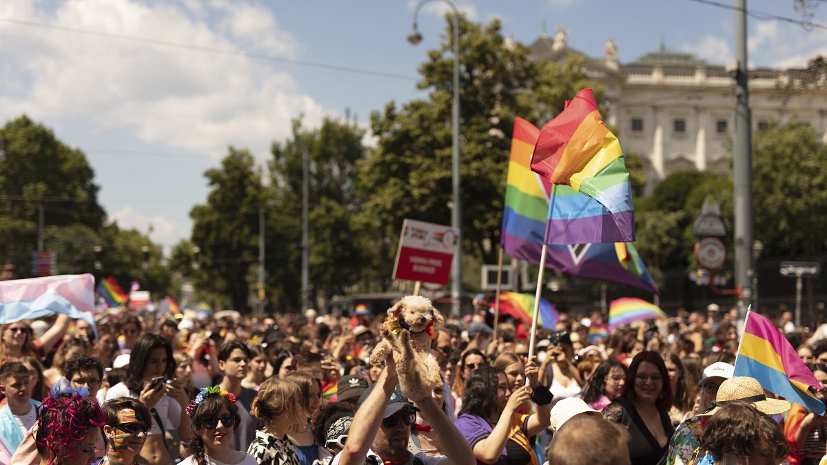 Gay pride-felvonulás tavaly júniusban Bécsben