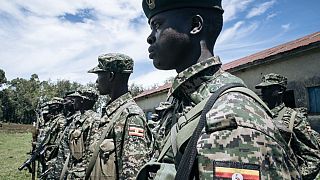 Uganda: UN experts say ADF financed by Islamic State group