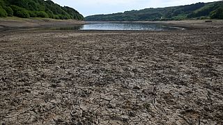 تسبب ارتفاع درجات الحرارة في جفاف عدد من البحيرات في أوروبا