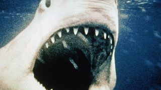 The titular giant Great White shark opens its mouth in a still from 1975's Jaws