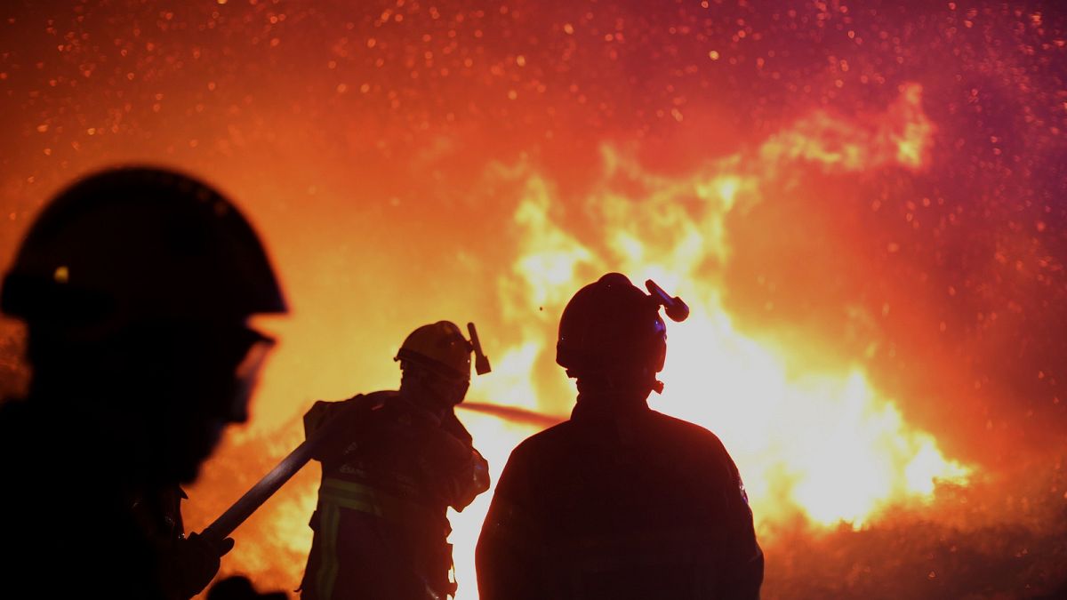 Feuerwehrleute versuchen, einen Brand in der Nähe des Dorfes Biguglia auf der französischen Insel Korsika zu löschen, 25. Juli 2017.