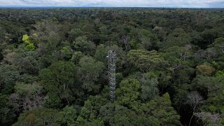 برج سيكون جزءًا من مجمع أبراج لرش ثاني أكسيد الكربون في الغابات المطيرة شمال ماناوس - البرازيل> 2023/05/23