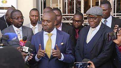 Zimbabwe : Mnangagwa, Chamisa et Kasukuwere candidats à la présidentielle