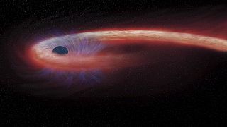 يظهر هذا العرض الفني المقدم من وكالة ناسا تفاصيل ثقب أسود استغرق عقدًا قياسيًا لالتهام نجمًا يبعد 1.8 مليار سنة ضوئية عن الأرض، 6 فبراير 2017