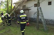 Tűzoltók egy házra dőlt fánál Egerbaktán