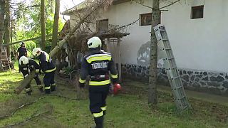 Bombeiros da Hungria tentam levantar as árvores caídas sobre as casas durante a tempestade na cidade de Egerbakta