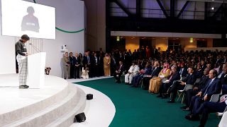 Sommet de Paris : Nakate met les leaders mondiaux devant leurs responsabilités