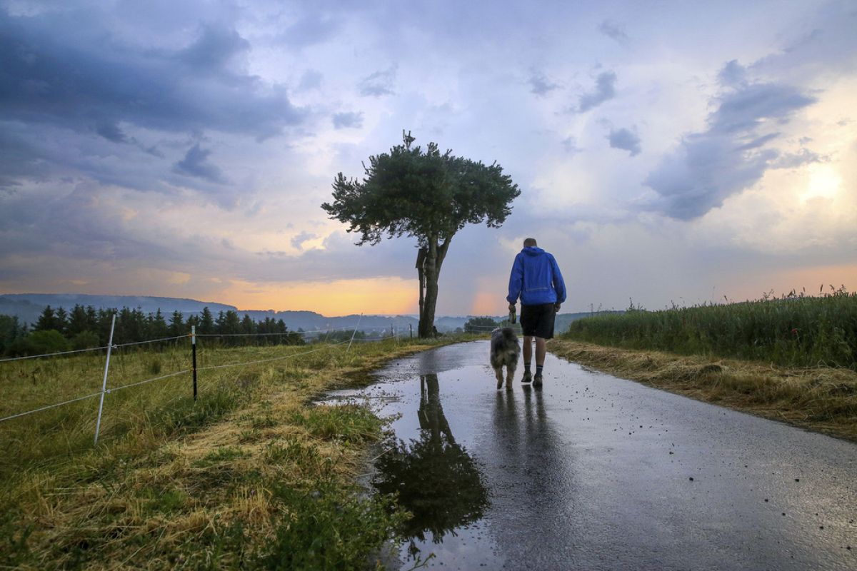 Will Europe see more snow this winter? Here’s how El Niño could affect ...