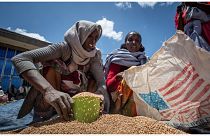 امرأة إثيوبية تقوم بتوزيع القمح على الأسر المحتاجة في تيغراي في بلدة أغولا بشمال إثيوبيا في 8 مايو 2021.