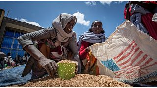 امرأة إثيوبية تقوم بتوزيع القمح على الأسر المحتاجة في تيغراي في بلدة أغولا بشمال إثيوبيا في 8 مايو 2021.