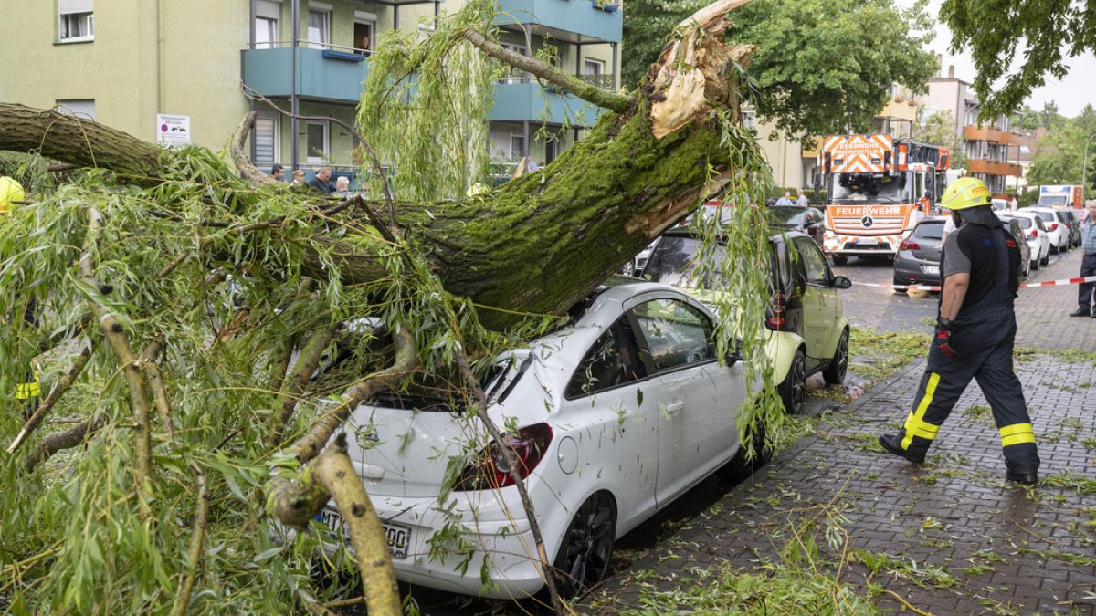 Durch umgestürzten Baum zerstörtes Auto in Frankfurt