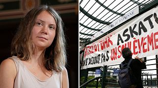 Greta Thunberg has slammed the French Government for its decision to dissolve a climate protest group. 