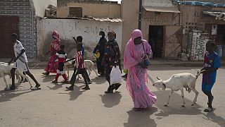 Sénégal : à Dakar, les émeutes brident l'arrivée des moutons de Tabaski
