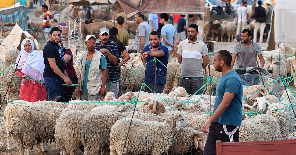 Tunisians lament high cost of living ahead of Eid al-Adha