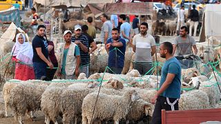 Tunisians lament high cost of living ahead of Eid al-Adha