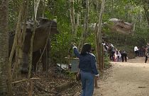 Parque "A Terra dos Dinossauros", cidade de Miguel Pereira, Rio de Janeiro, Brasil
