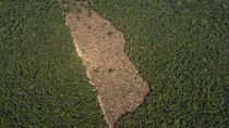 Desmatamento no meio da floresta tropical, Porto Velho, Brasil, 2019.