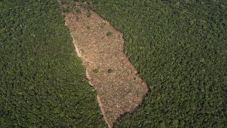 Une parcelle de forêt détruite en Amazonie près de Porto Velho, au Brésil, 27.08.2019